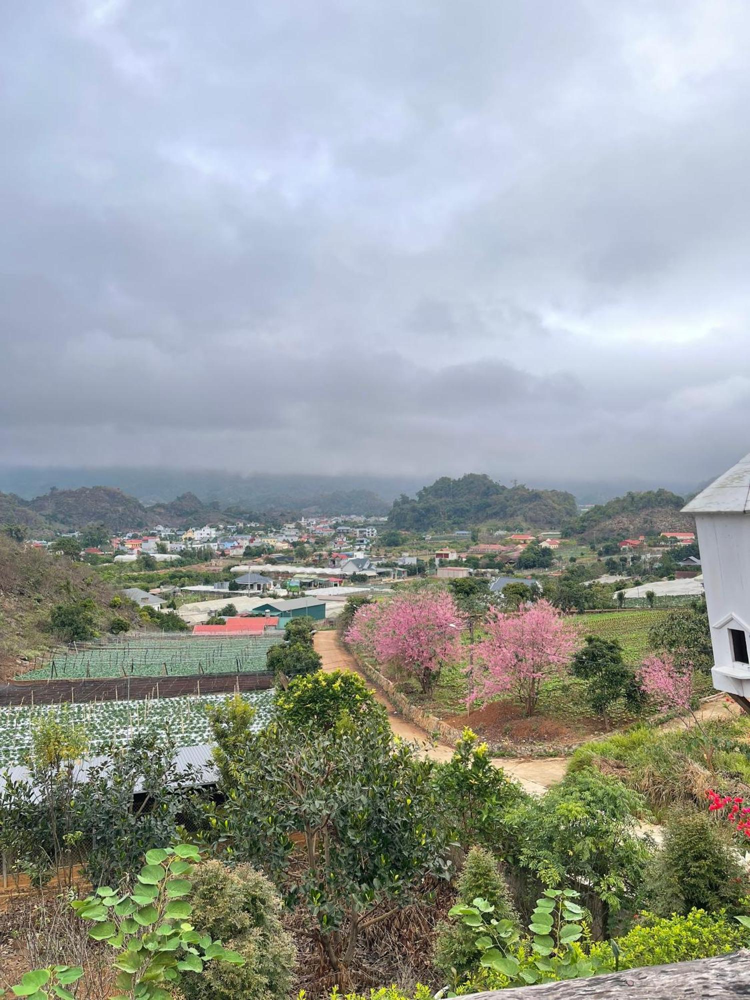 Doi Thong Homestay Moc Chau - By Bay Luxury Son La Exteriér fotografie